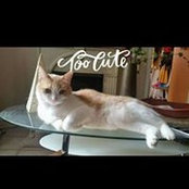 Janice Serale's photo
