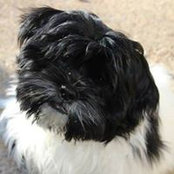 Kate Holmes's photo