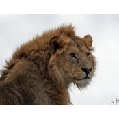 Eric Thomson's photo