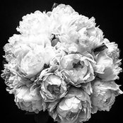 Kerrie Askey's photo
