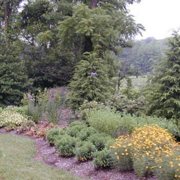 Back Yard Gardens