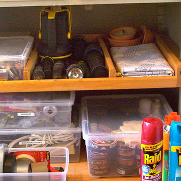 Cabinet Organizing