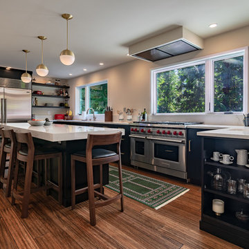Bellevue - Contemporary Kitchen