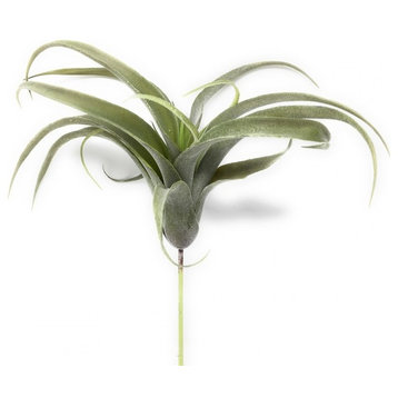 Serene Spaces Living Faux Frosted Tillandsia, Large