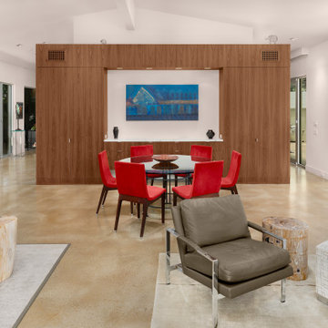 Oak Cliff Mid Century Modern Residence