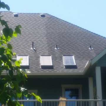 Moss Removal Before and Afters