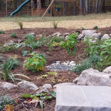 Ingraham Back Yard Renovation