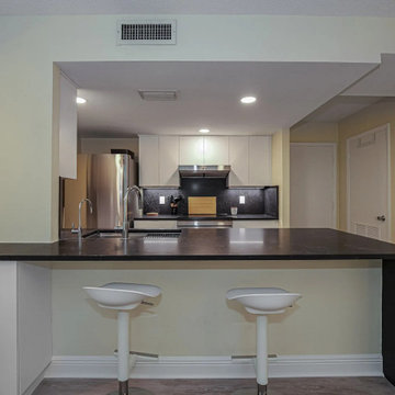 Condo Kitchen Renovation