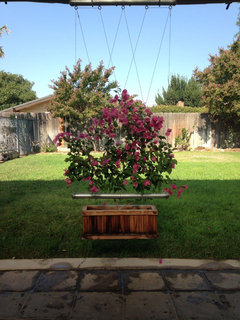 Feng shui front garden ideas?