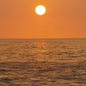 Dan Brower's photo