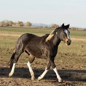 Erin Jospe's photo