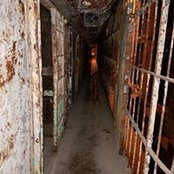 Travis Scherer's photo