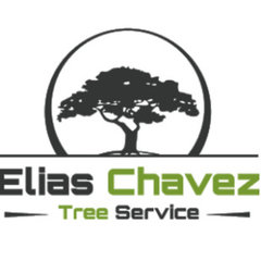 Elias Chavez Tree services