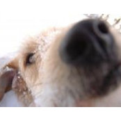 Michael Brown's photo