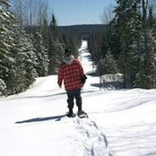 Samuel Lavoie's photo