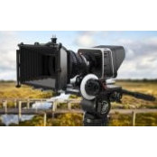 Endy Guadaña's photo