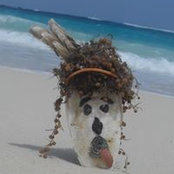 Omar Abu-Gamil's photo