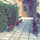 Fajer Alsamhan