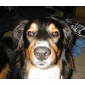 Chris Hoffman's photo