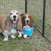 Photo de Gail Wilson