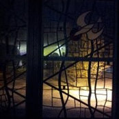 Sandy Tallacksen's photo