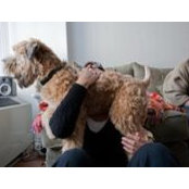 Anna Solomon's photo