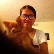 Foto de Uyen Vu
