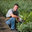 Evergreen Landscaping & Lawn Care Loganville