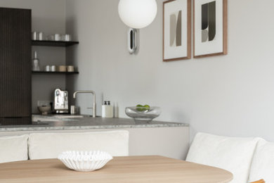 Dining room - contemporary dining room idea in Other