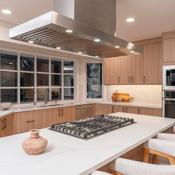Sammamish Full Home Remodel and ADU