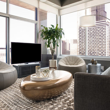 South Loop Contemporary Condo