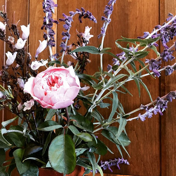 Cottage Garden