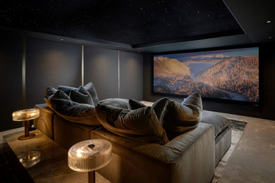 Inspiration for a medium sized contemporary home cinema in Essex with grey walls, carpet and grey floors.