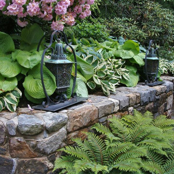 Shady Border at Drive Court