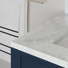Polaris Bathroom Vanity, Single Sink, 30", Monarch Blue, Freestanding