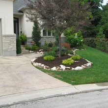 front yard