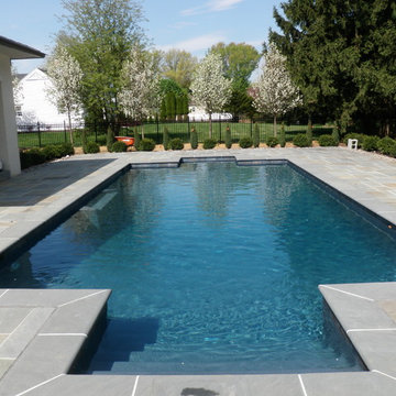 Bethlehem Township custom salt water pool with deck jets