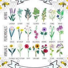 SAVE BEES ... GROW THESE ON YOUR BALCONY