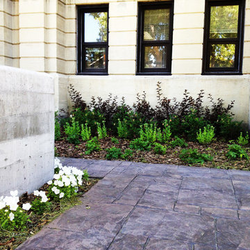 Previous Landscaping Projects