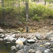 Brian Thomas's photo