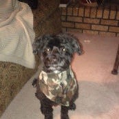 Bridget Reedy's photo