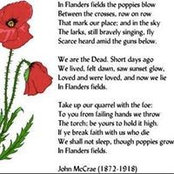 Suzanne Johansen's photo