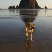 Tyler Newland's photo