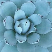 Jackie Cochran's photo