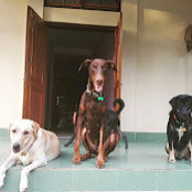 Hirk Sinha's photo