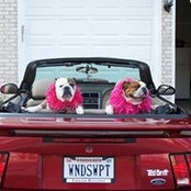 Jan DeSarno's photo