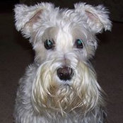 Jeff Beitinger's photo