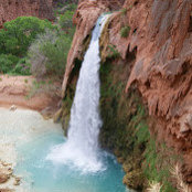 John Pizzi's photo