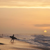 Michelle Wang's photo