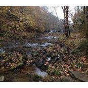 Barbara Brown-Suttle's photo